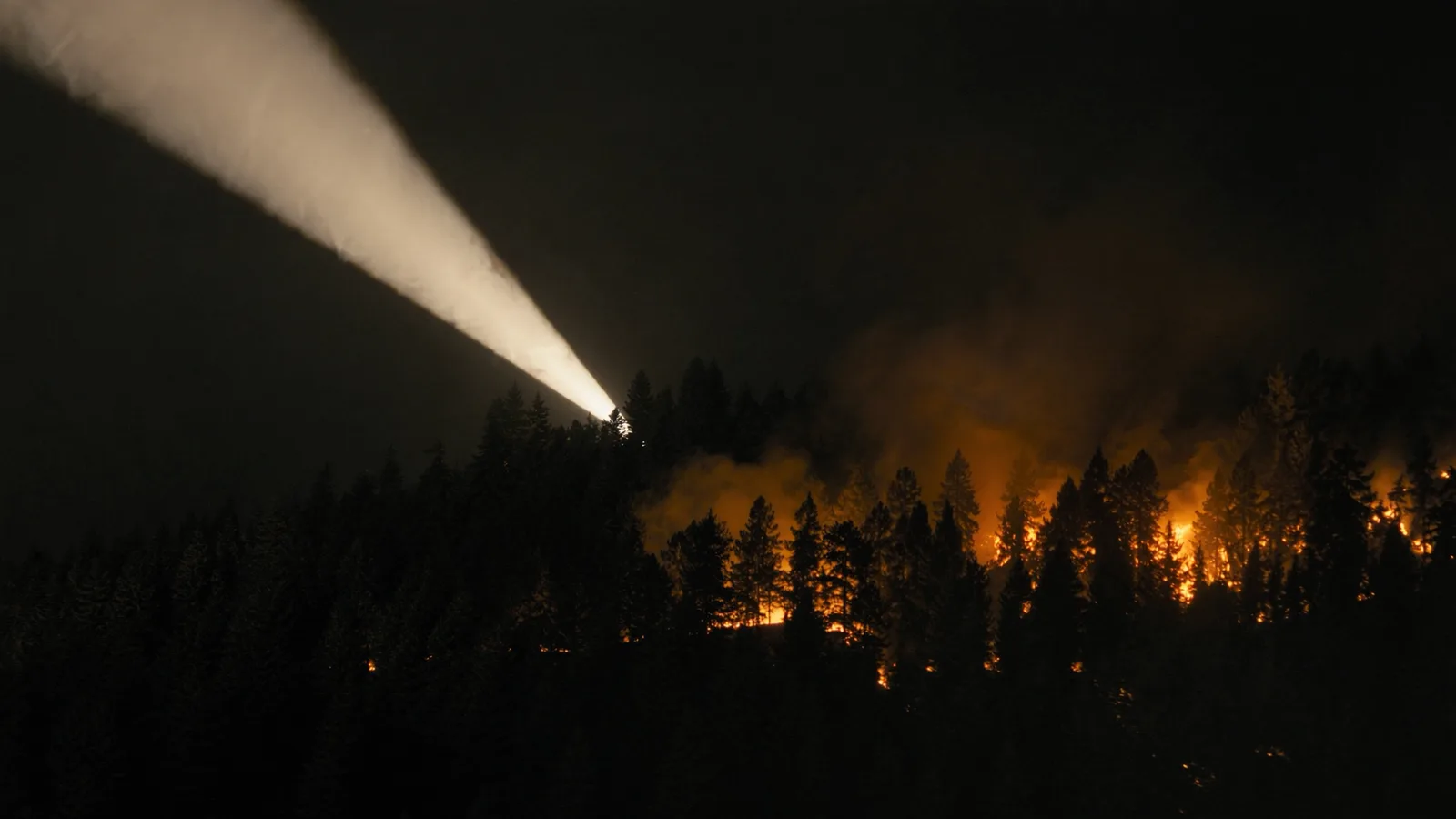 Fire Detection and Response Drone cover